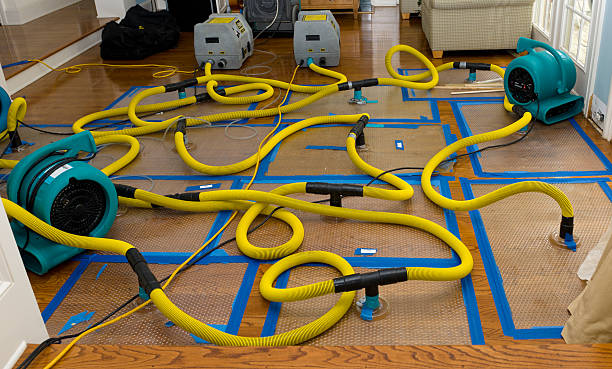 Professional Water Damage Repair technician working in Bay City, MI